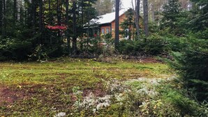 A cabin surrounded by dense forest, with a grassy area in the foreground. - Cozy Suite 15 min away from Mt Tremblant. Pet Friendly (Mont-Tremblant)
