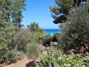 Property grounds - Sant Ambroggio Villa 4 (Haute-Corse,)