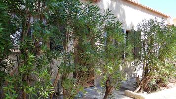 DĂ©tail de lâextĂ©rieur