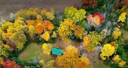 Cozy Beautiful log cabin situated on acreage with access to East Stylus Lake