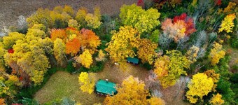 Cozy Beautiful log cabin situated on acreage with access to East Stylus Lake