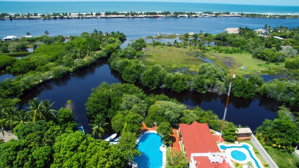 An aerial view of a residential area with a swimming pool, lush greenery, and a view of the ocean.