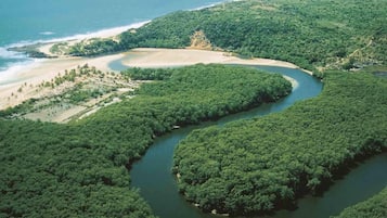 An aerial view of a coastal area with a river meandering through dense green forest, a sandy beach, and a small hill.