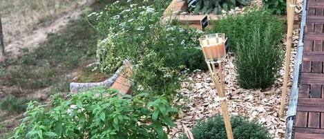 Àrea exterior de l'allotjament