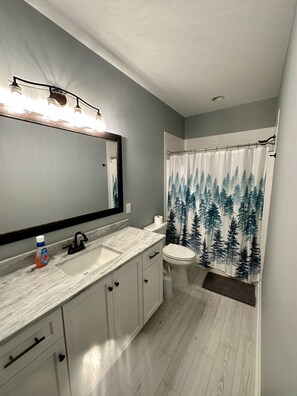 Shower, hair dryer, towels - Beautiful Masters Rental Quiet Neighborhood (EVANS)
