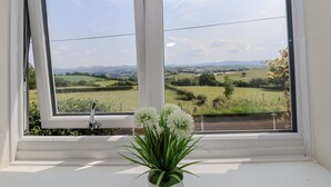 Una ventana con vistas a un paisaje verde, una flor blanca en maceta y un tirador de metal.