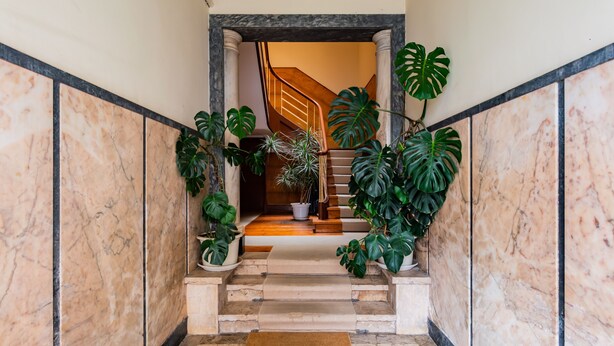 A marble staircase with a wooden handrail, leading to a landing with a potted plant. -  2BR Chic&Bright com 120m2 em Campo de Ourique (Lisbon)
