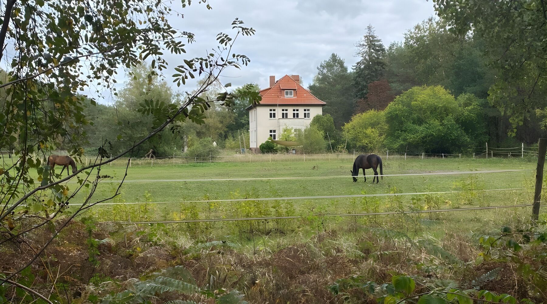 A rural landscape with a large white house, a fenced field, and two horses grazing.