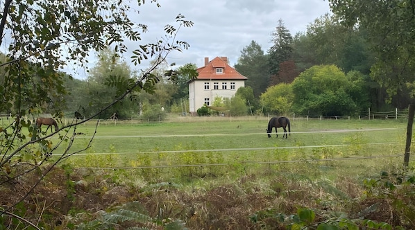 A rural landscape with a large white house, a fenced field, and two horses grazing.