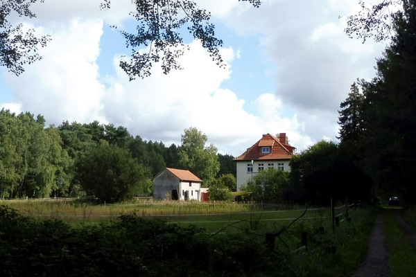Idyllische Lage in einer Waldlichtung