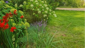 A garden with various plants and flowers, a lawn, and a building in the background. - VILLA FOREST & LAKES near Berlin - Country villa with horses, fireplace & peace! (Marienwerder-Ruhlsdorf)