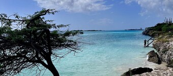 Oceanfront @ Mangel Halto Beach, Snorkel, Scuba, Beach