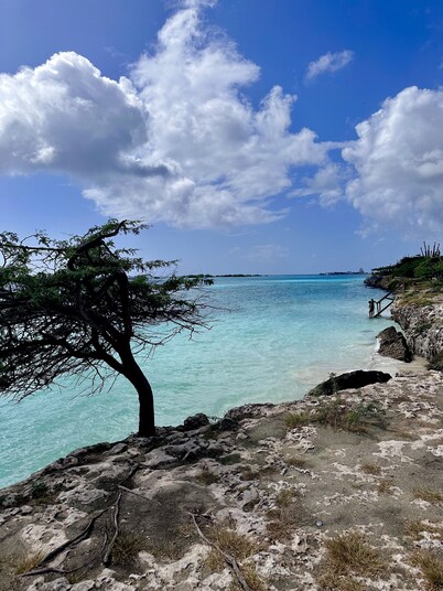 Oceanfront @ Mangel Halto Beach, Snorkel, Scuba, Beach