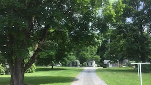 A gravel driveway leading to a row of houses with a large tree on the left.