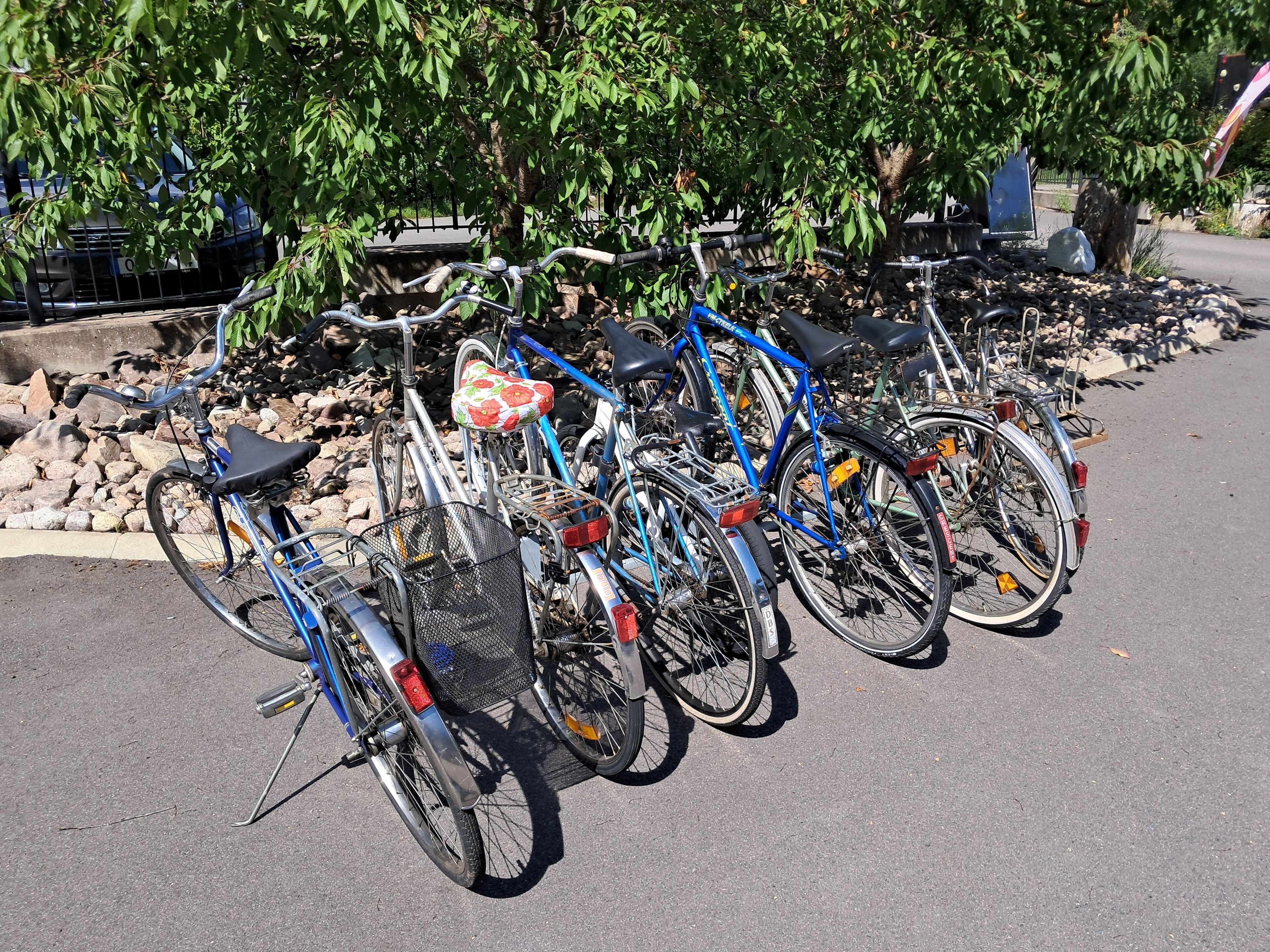 Diverses bicicletes aparcades a zona senyalitzada, amb un marc de pedra i arbres al fons.