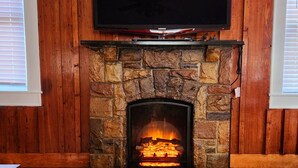 Une cheminée en pierre avec un téléviseur fixé au-dessus, le tout entouré de murs en bois et agrémenté d’un tapis à motifs.