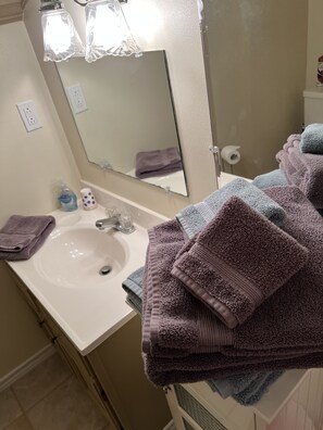 Shower, hair dryer, towels, soap - Bungalow! Private, upstairs, well appointed space! (Bryan)