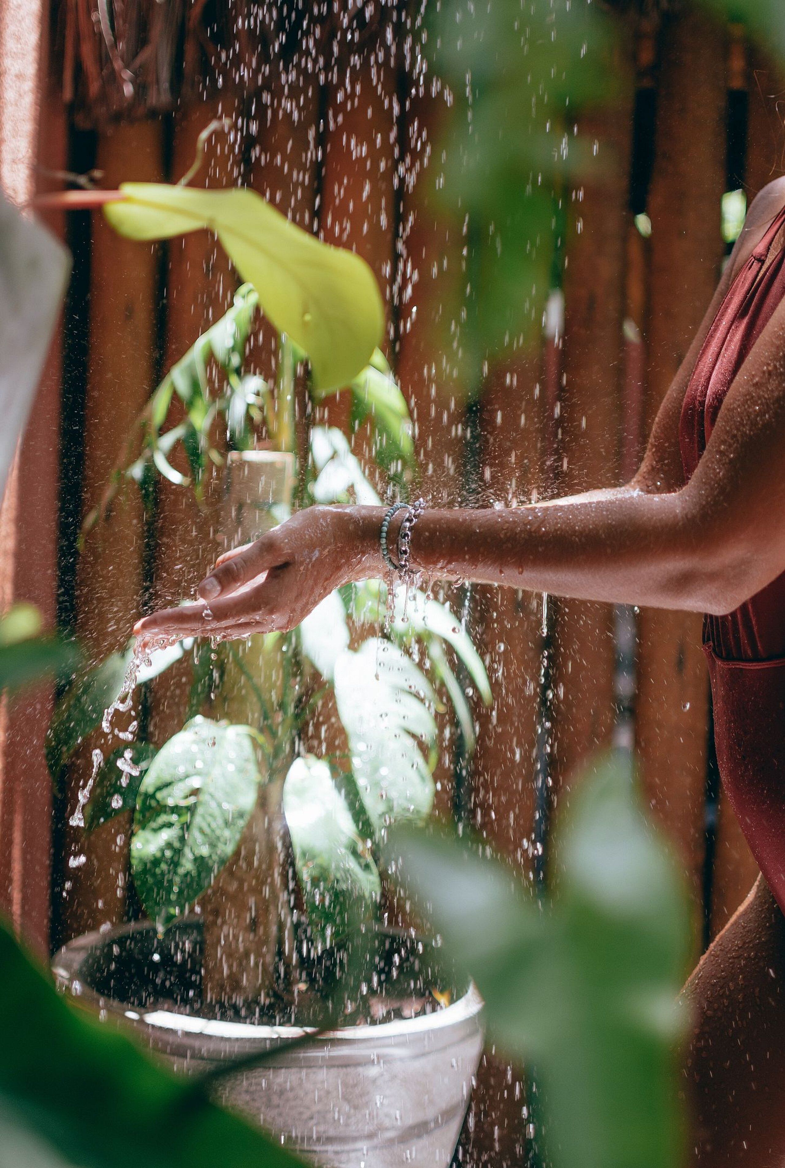 Mão despejando água de um recipiente em um vaso de planta.