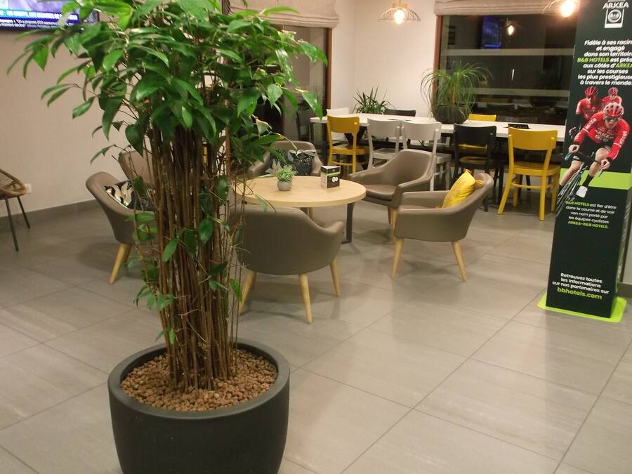 A hotel lobby with a large potted plant, round tables, and chairs. There is a poster on the wall advertising B&B Hotels.