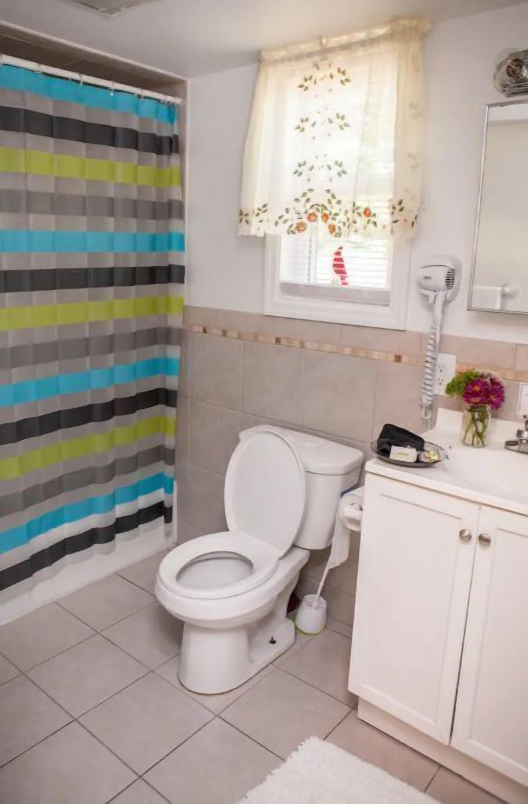 A bathroom with a striped shower curtain, a toilet, a sink with a hairdryer, and a cabinet.
