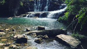A waterfall cascading over rocks into a clear pool surrounded by lush greenery. - Perfect Cabin 5 minutes to Blanchard Springs Nat. Park (Mountain View)