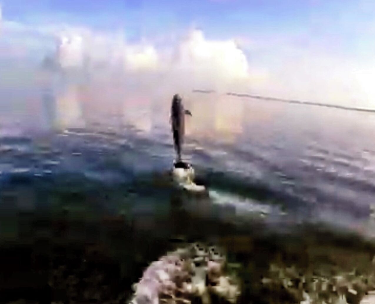 Ein Blick auf ein Gewässer, auf dem eine Person auf einer schwimmenden Plattform steht.