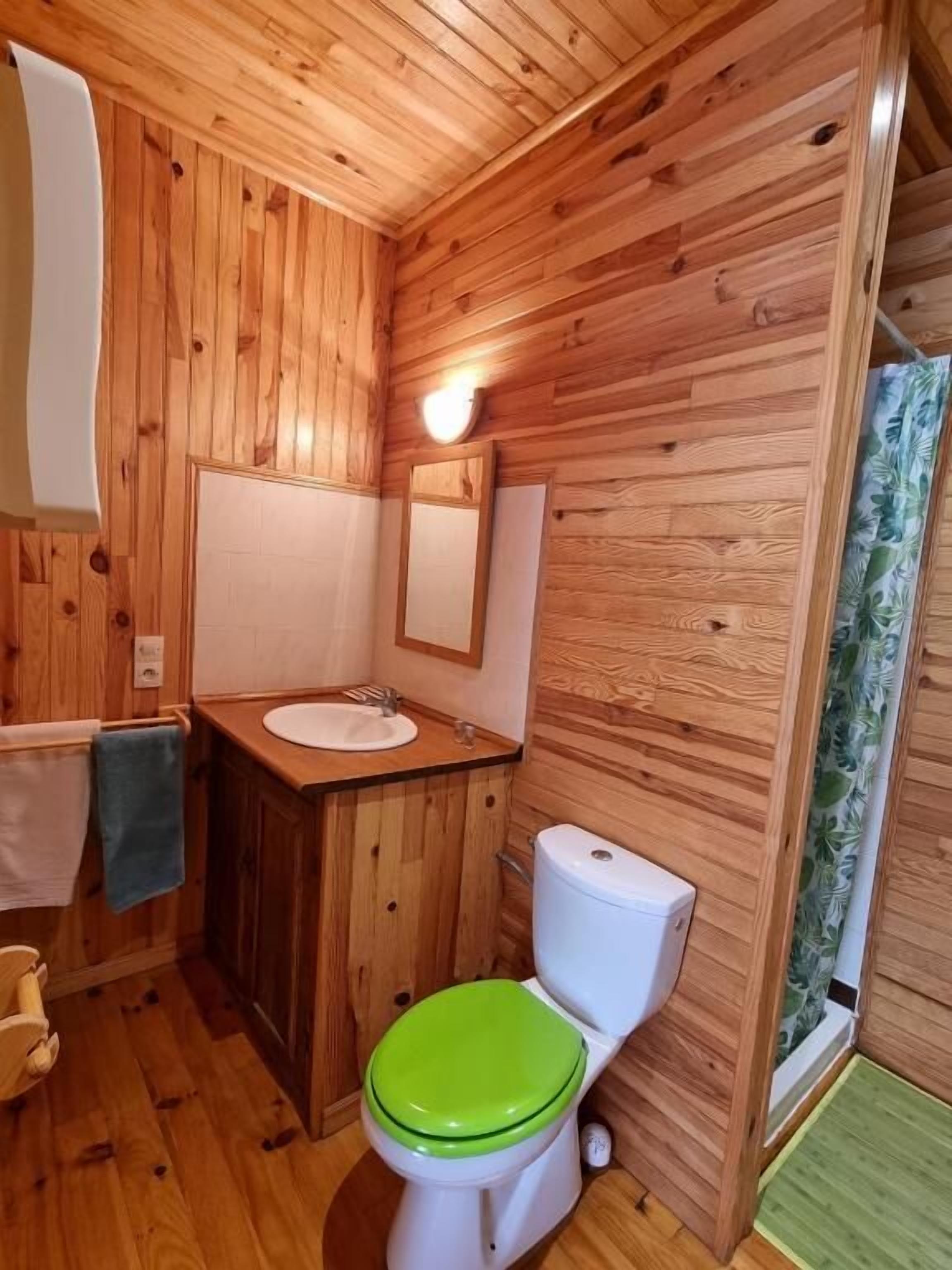 Une salle de bain aux murs lambrissés, équipée d’un lavabo, d’un miroir, de toilettes et d’un rideau de douche.