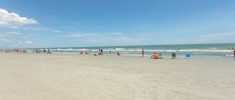 Condo, 2 Bedrooms | Beach | On the beach