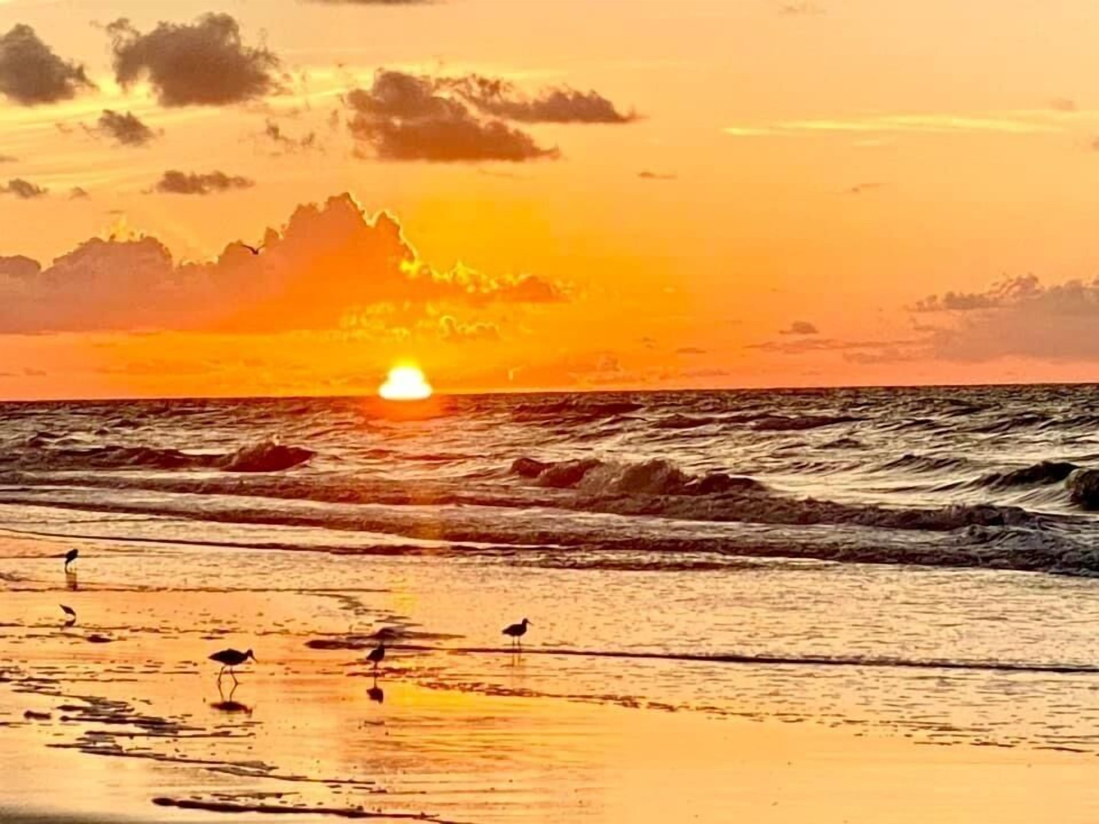 Un coucher de soleil sur l’océan, avec des vagues et des oiseaux sur la plage.