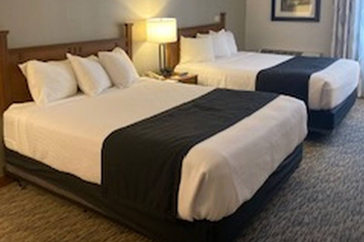A hotel room with two beds, a nightstand with a lamp, and a framed picture on the wall.