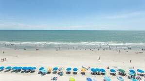 A beach with rows of umbrellas and beach chairs, a clear sky, and the ocean in the background.