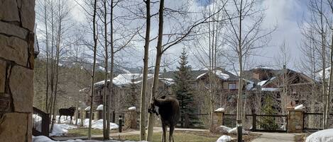 المنطقة المحيطة بالمنشأة