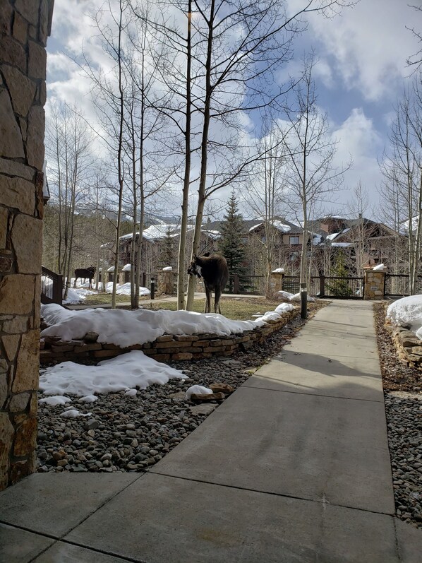 Áreas de la propiedad