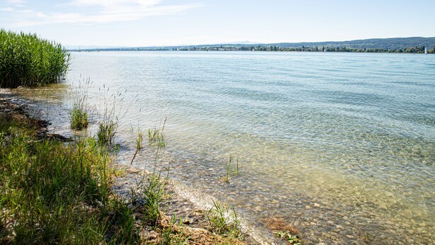 Ein klarer See mit sichtbaren Felsen und Vegetation am Ufer.