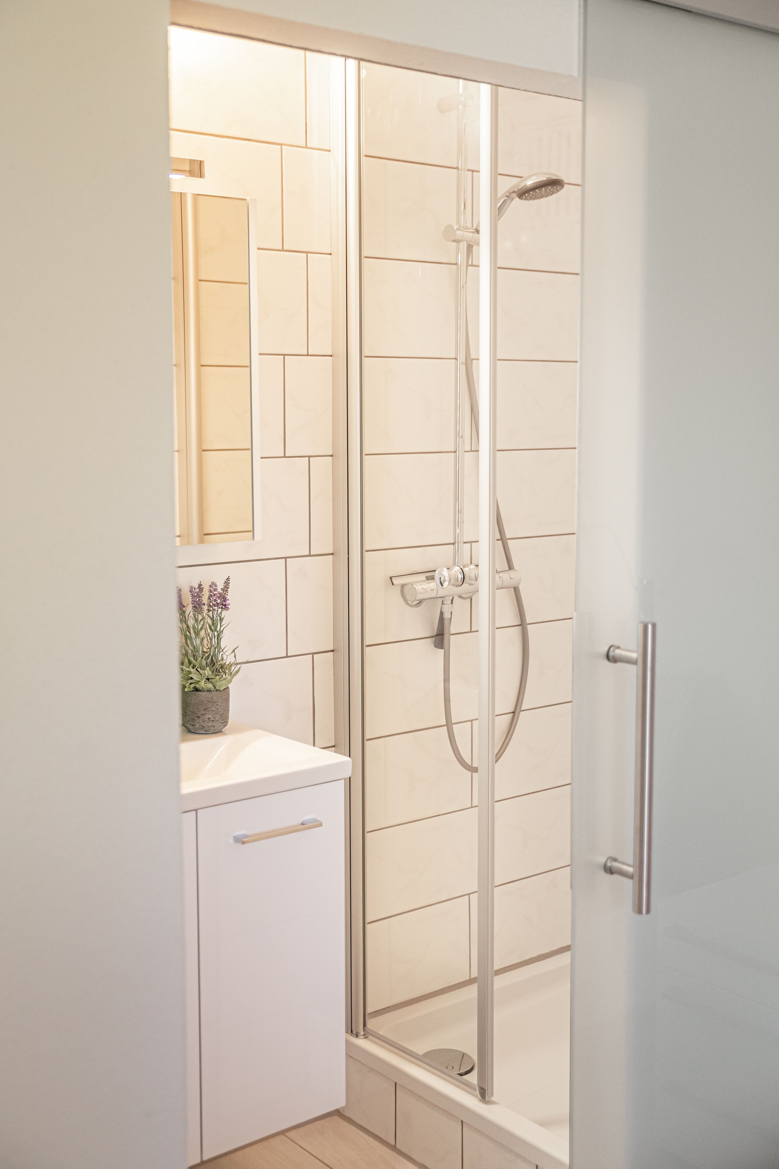 Une salle de bain moderne avec une douche à l’italienne en verre, un lavabo blanc avec un miroir au-dessus, et une petite plante en pot posée sur le comptoir.