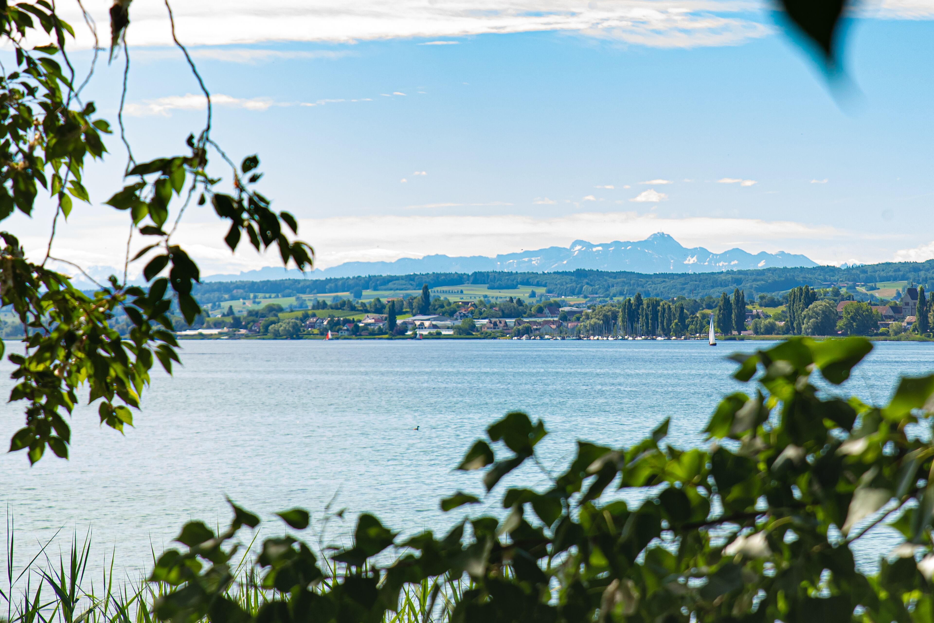 A lakeside view with mountains in the background and a sailboat on the water.
