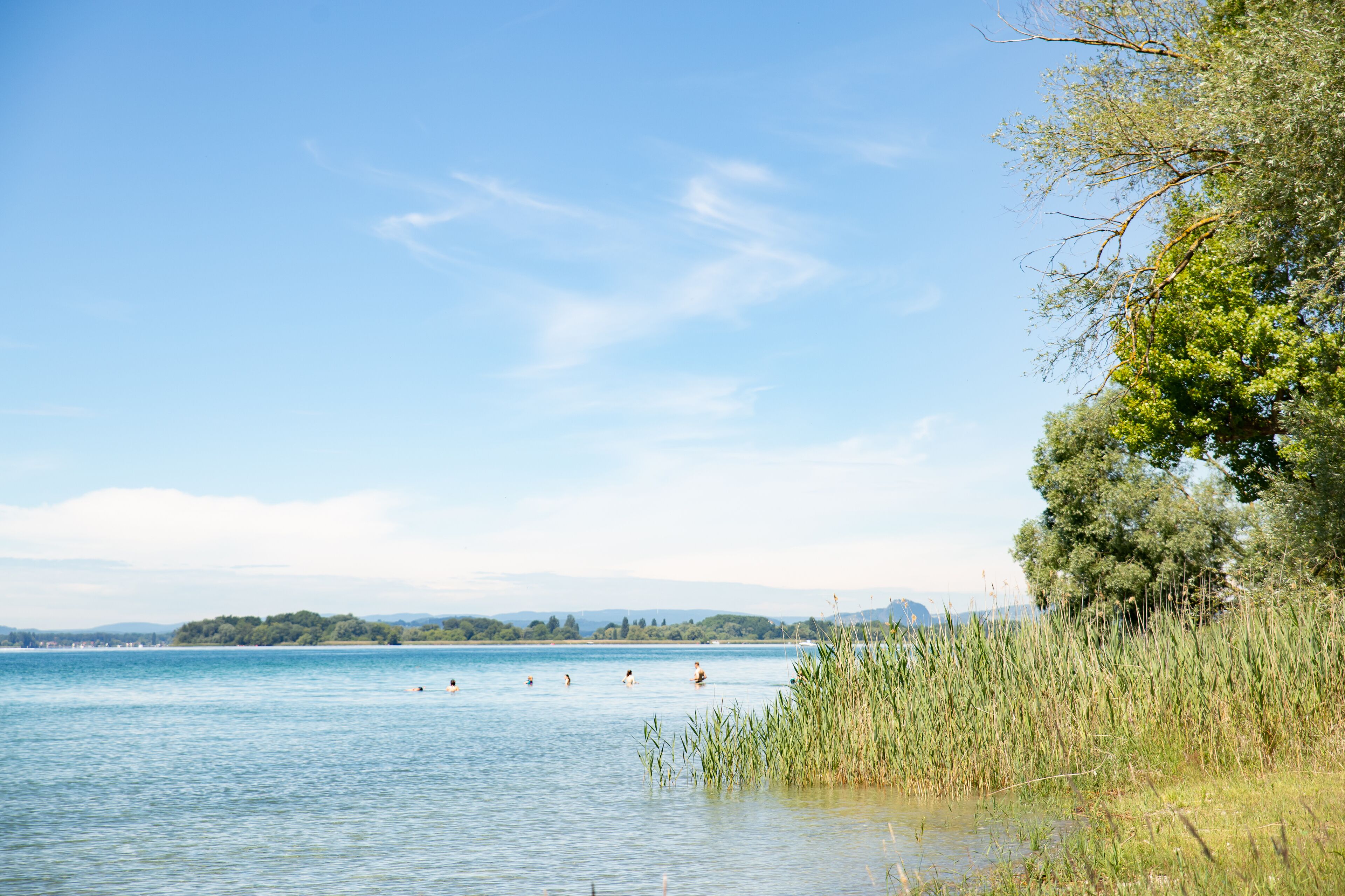 Un llac tranquil amb banyistes, envoltat d'arbres i un cel serè.