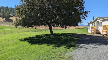 Área da propriedade