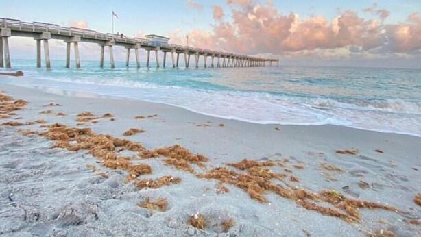 A beach with a pier extending into the ocean, featuring a flag on top. - Malvia’s Oasis- Cozy home with a Private Pool (Englewood)