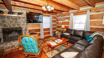 Smart TV, fireplace, books