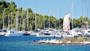 Ein Yachthafen mit mehreren angossenen Segelbooten, umgeben von Bäumen und einer felsigen Küstenlinie.