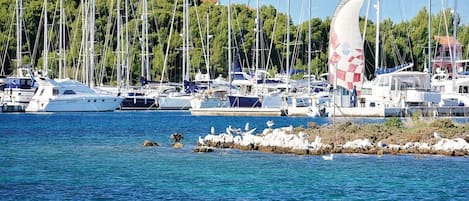 Marina