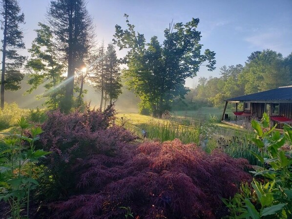 Property grounds - Rising Spirit Bed & Breakfast (Clarington)