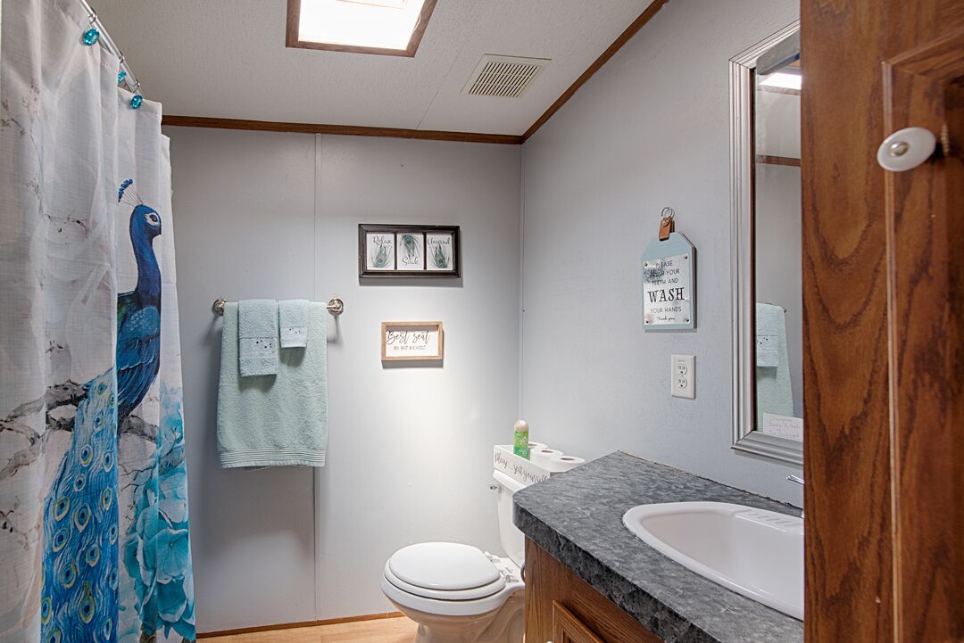 Une salle de bain avec un rideau de douche, des toilettes, un lavabo et un miroir.