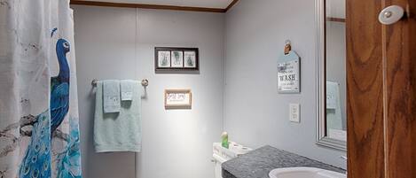 Une salle de bain avec un rideau de douche, des toilettes, un lavabo et un miroir.
