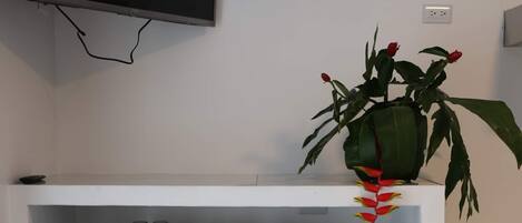 Wi-Fi gratuit, accès pour personnes à mobilité réduite