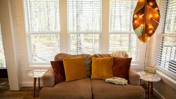 Televisión, chimenea, reproductor de DVD y libros