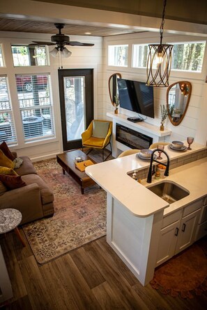 TV, fireplace, DVD player, books