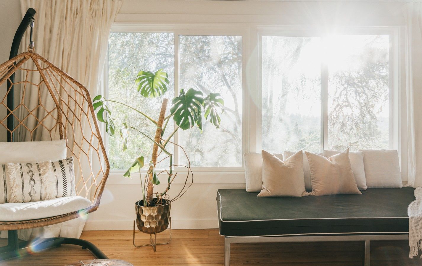 A room with a hanging chair, a potted plant, a sofa with cushions, and a window with a view of trees.