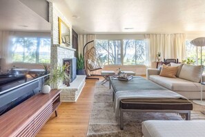 TV, fireplace, video games, ping pong